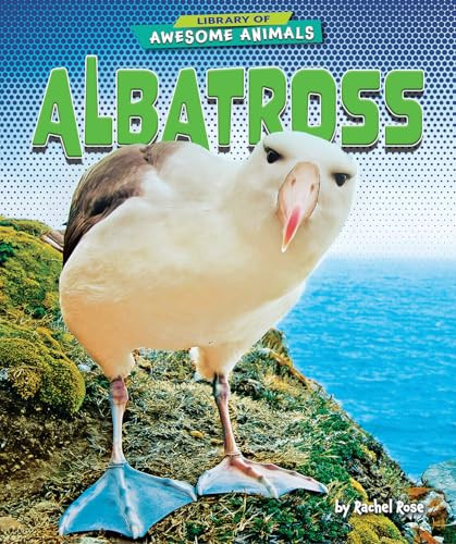 Albatross - 9781636911557 by Rachel Rose, 9781636911557
