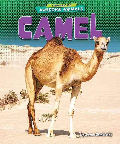 Camel by Jenna Grodzicki, 9781636911465