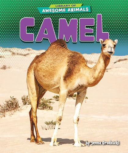 Camel by Jenna Grodzicki, 9781636911465