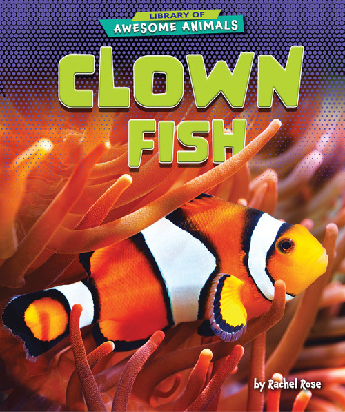 Clown Fish - 9781636911519 by Rachel Rose, 9781636911519