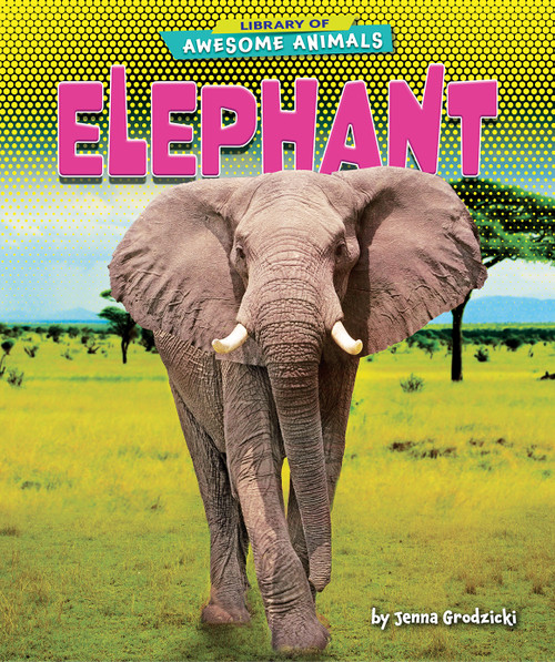 Elephant - 9781636911441 by Jenna Grodzicki, 9781636911441