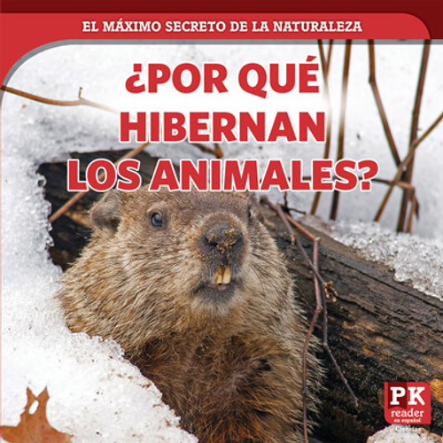 ¿Por qué hibernan los animales? (Why Animals Hibernate) by Marie Rogers, 9781725320802