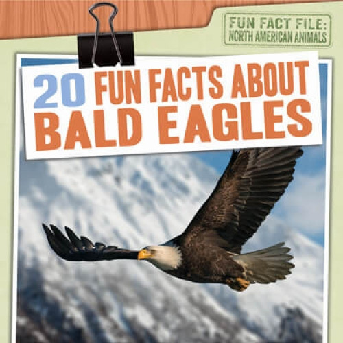 20 Fun Facts About Bald Eagles - 9781538257456 by Shannon H. Harts