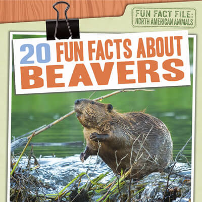 20 Fun Facts About Beavers by Charlie Light, 9781538257609