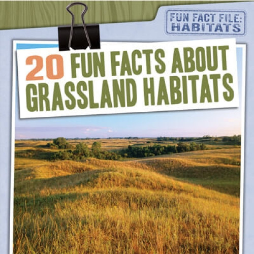 20 Fun Facts About Grassland Habitats - 9781538264478 by Abby Badach Doyle