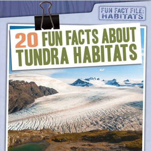 20 Fun Facts About Tundra Habitats by Kate Mikoley, 9781538264539