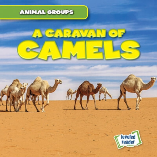 A Caravan of Camels - 9781538263457 by Seth Lynch
