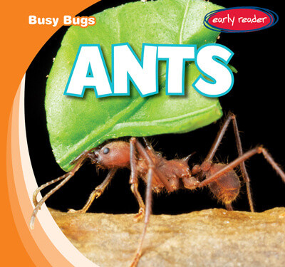 Ants - 9781538263198 by Bray Jacobson, 9781538263198