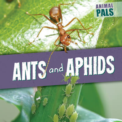 Ants and Aphids by Janey Levy, 9781538266700