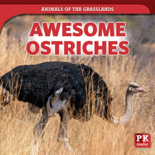 Awesome Ostriches - 9781725316881 by Theresa Emminizer