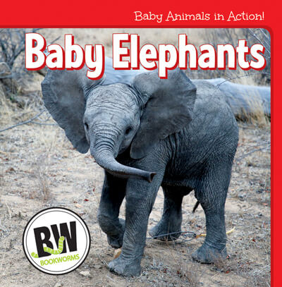 Baby Elephants - 9781502655998 by Nicole Horning, 9781502655998