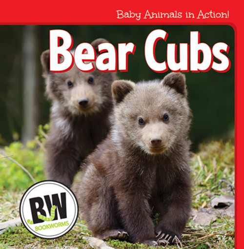Bear Cubs - 9781502656070 by Nicole Horning, 9781502656070