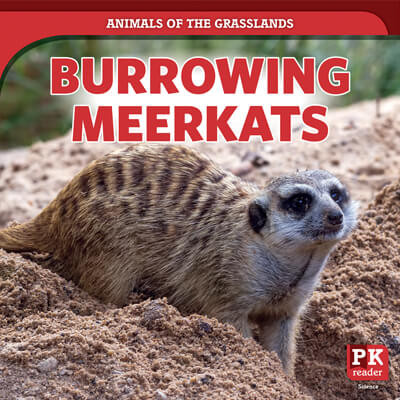 Burrowing Meerkats by Theresa Emminizer, 9781725316904