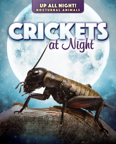 Crickets at Night - 9781725318717 by Kathleen A. Klatte, 9781725318717