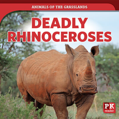Deadly Rhinoceroses by Theresa Emminizer, 9781725316942
