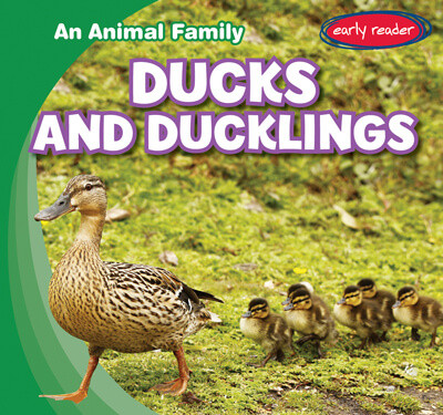 Ducks and Ducklings by Natalie K. Humphrey, 9781538255865