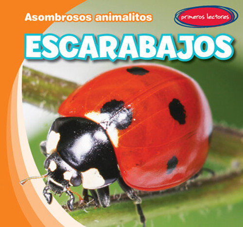 Escarabajos (Beetles) by Bray Jacobson, Diana Osorio, 9781538269091