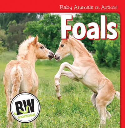 Foals - 9781502656117 by Nicole Horning, 9781502656117