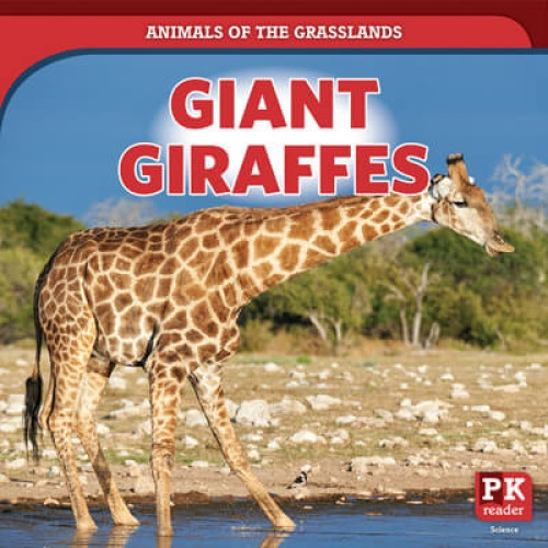 Giant Giraffes - 9781725317000 by Theresa Emminizer