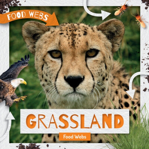 Grassland Food Webs - 9781534535220 by William Anthony