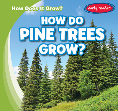 How Do Pine Trees Grow? by Kathleen Connors, 9781538263051