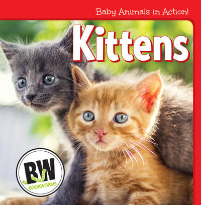 Kittens - 9781502656131 by Nicole Horning, 9781502656131