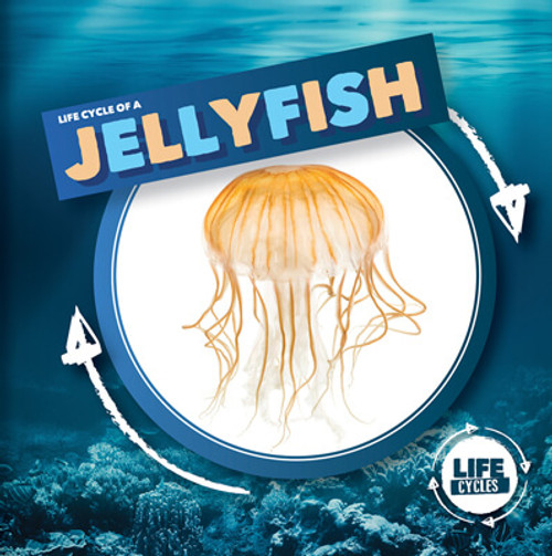 Life Cycle of a Jellyfish by Kirsty Holmes, 9781534537866