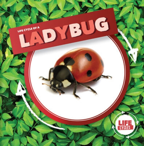 Life Cycle of a Ladybug - 9781534537965 by Kirsty Holmes