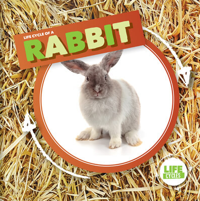 Life Cycle of a Rabbit by Kirsty Holmes, 9781534537989