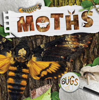 Moths - 9781534537743 by William Anthony, 9781534537743
