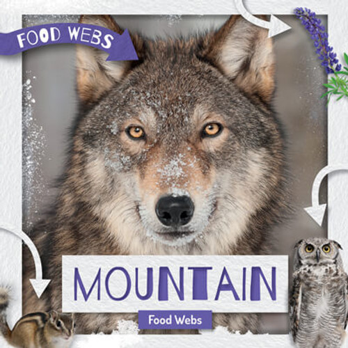 Mountain Food Webs by William Anthony, 9781534535244