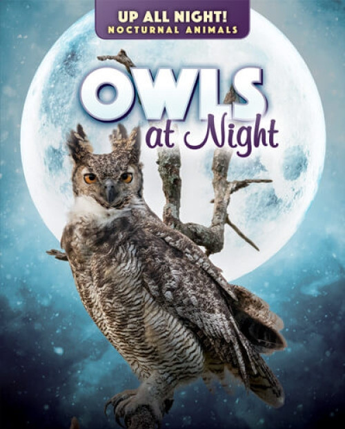 Owls at Night by Kathleen A. Klatte, 9781725318731