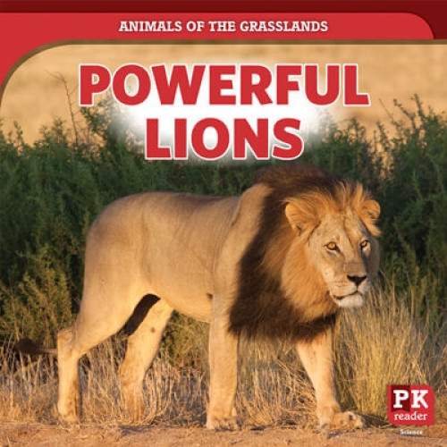 Powerful Lions - 9781725317086 by Theresa Emminizer