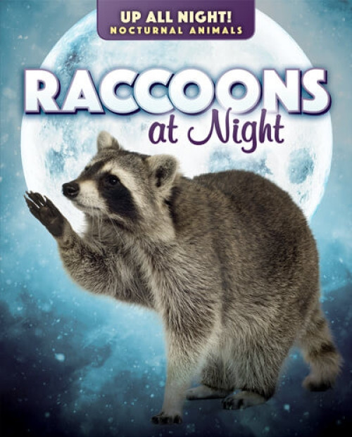 Raccoons at Night - 9781725318793 by Kathleen A. Klatte