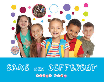 Same and Different by Brenda McHale, 9781534538887