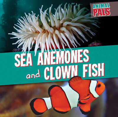 Sea Anemones and Clown Fish - 9781538266892 by Janey Levy, 9781538266892