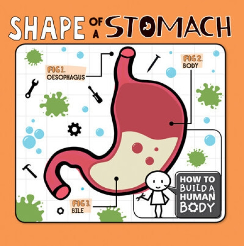 Shape of a Stomach - 9781978519336 by Kirsty Holmes