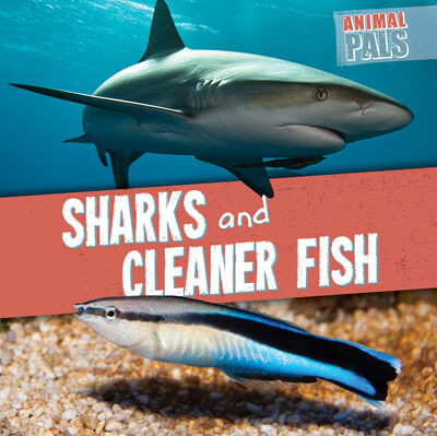 Sharks and Cleaner Fish by Janey Levy, 9781538266915