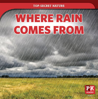 Where Rain Comes From by Marie Rogers, 9781725317512