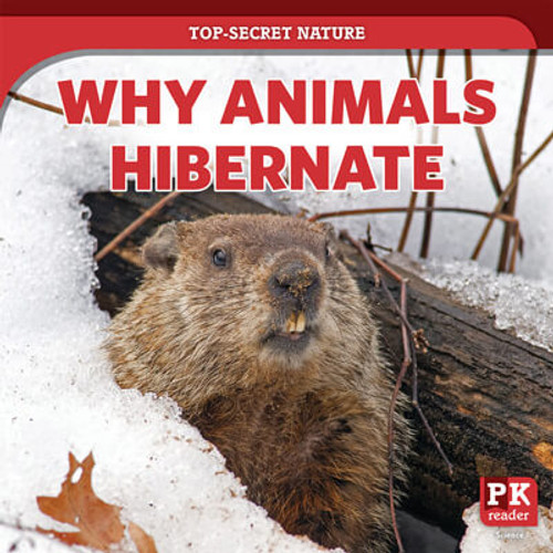 Why Animals Hibernate - 9781725317574 by Marie Rogers, 9781725317574