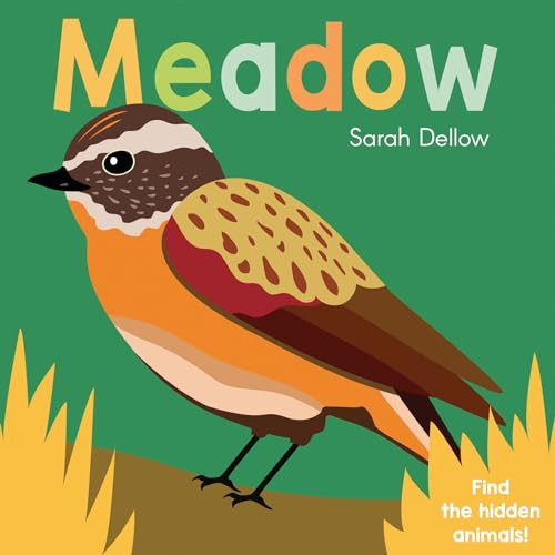 Now you See It! Meadow by Sarah Dellow, 9781786285874
