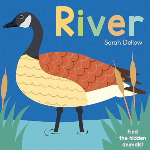 Now you See It! River by Sarah Dellow, 9781786285850