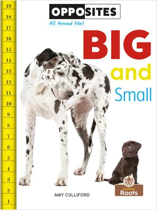Big and Small - 9781427140166 by Amy Culliford, Amy Culliford, 9781427140166
