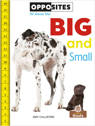 Big and Small - 9781427140227 by Amy Culliford, Amy Culliford, 9781427140227