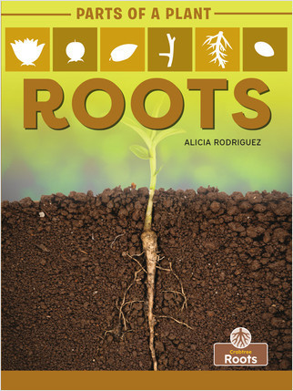 Roots - 9781427140739 by Alicia Rodriguez, Amy Culliford, 9781427140739