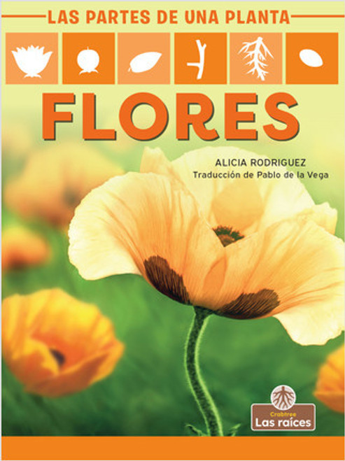 Flores (Flowers) - 9781427140944 by Alicia Rodriguez, Pablo de la Vega, Gilda Kupferman, 9781427140944