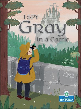 I Spy Gray in a Castle - 9781427152022 by Amy Culliford, Srimalie Bassani, Amy Culliford, 9781427152022