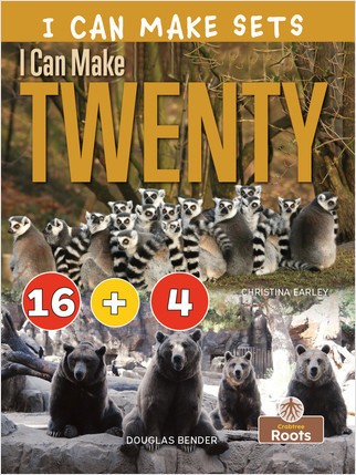 I Can Make Twenty by Christina Earley, Amy Culliford, 9781427156679