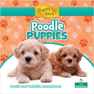 Poodle Puppies by David Armentrout, Patricia Armentrout, Amy Culliford, 9781427157768