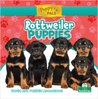 Rottweiler Puppies by David Armentrout, Patricia Armentrout, Amy Culliford, 9781427157829